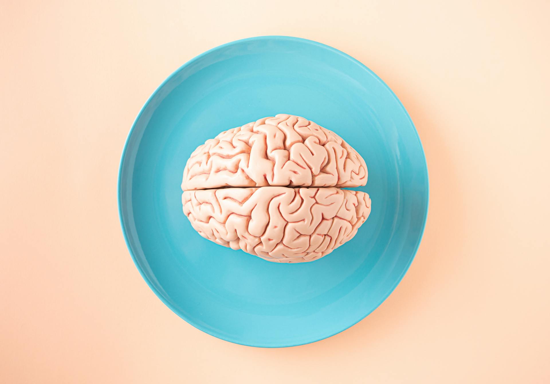 Imagen del cerebro en un plato